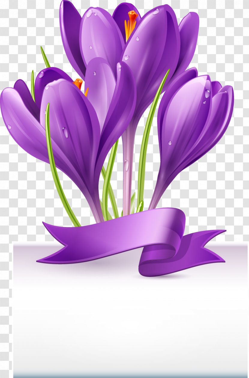 Beautiful Bouquet Of Purple Ribbon - Flower - Illustration Transparent PNG