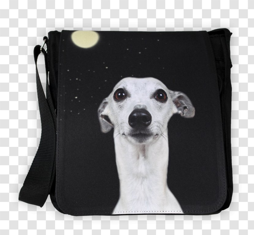 Lurcher Whippet Italian Greyhound Shorty Bull Dog Breed - Carnivoran - Hook And Loop Fastener Transparent PNG