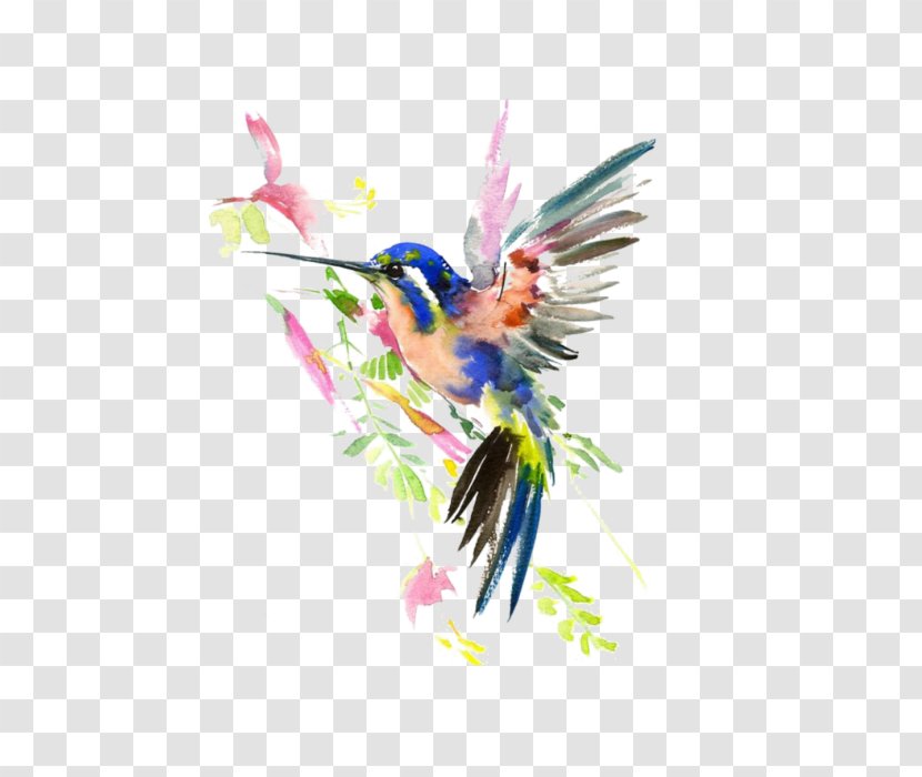 AllPosters.com Work Of Art Hummingbird Watercolor Painting - Ugallery - Tattoo Transparent PNG