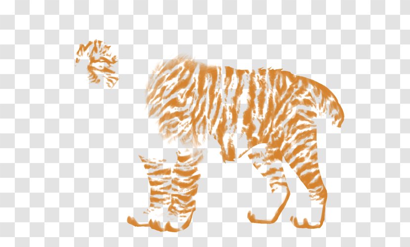 Tiger Lion Felidae Zebra Big Cat - White Panther Transparent PNG