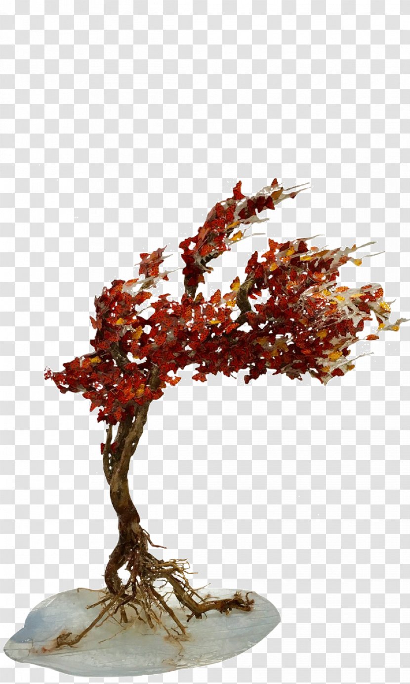 Ransom Art Sculpture Twig Museum - Tree - Frame Transparent PNG