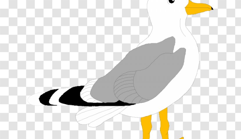 Bird Gulls Clip Art Vector Graphics Illustration - Albatross - Seagal Cartoon Transparent PNG