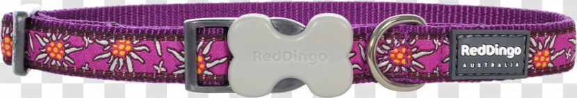 Body Jewellery Brand Font - Magenta - Red Collar Dog Transparent PNG