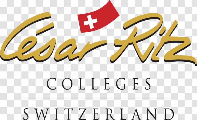International Hotel And Tourism Training Institute Culinary Arts Academy Switzerland Swiss Management School Cesar Ritz Colleges Education Group - Business Transparent PNG