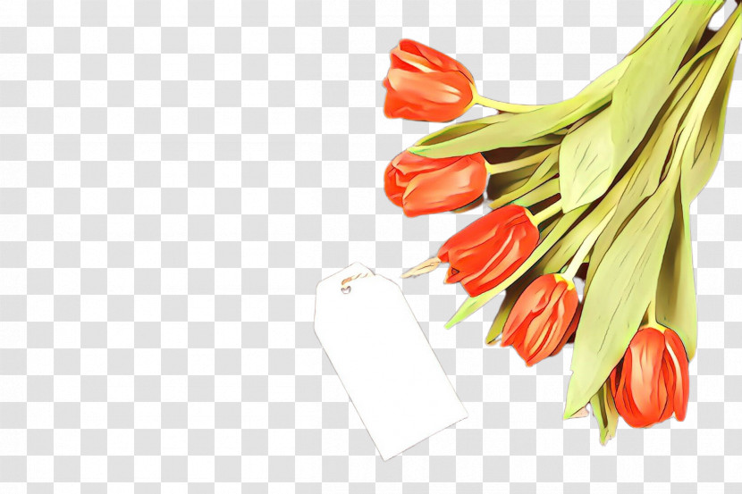Peperoncini Plant Tabasco Pepper Malagueta Pepper Tulip Transparent PNG