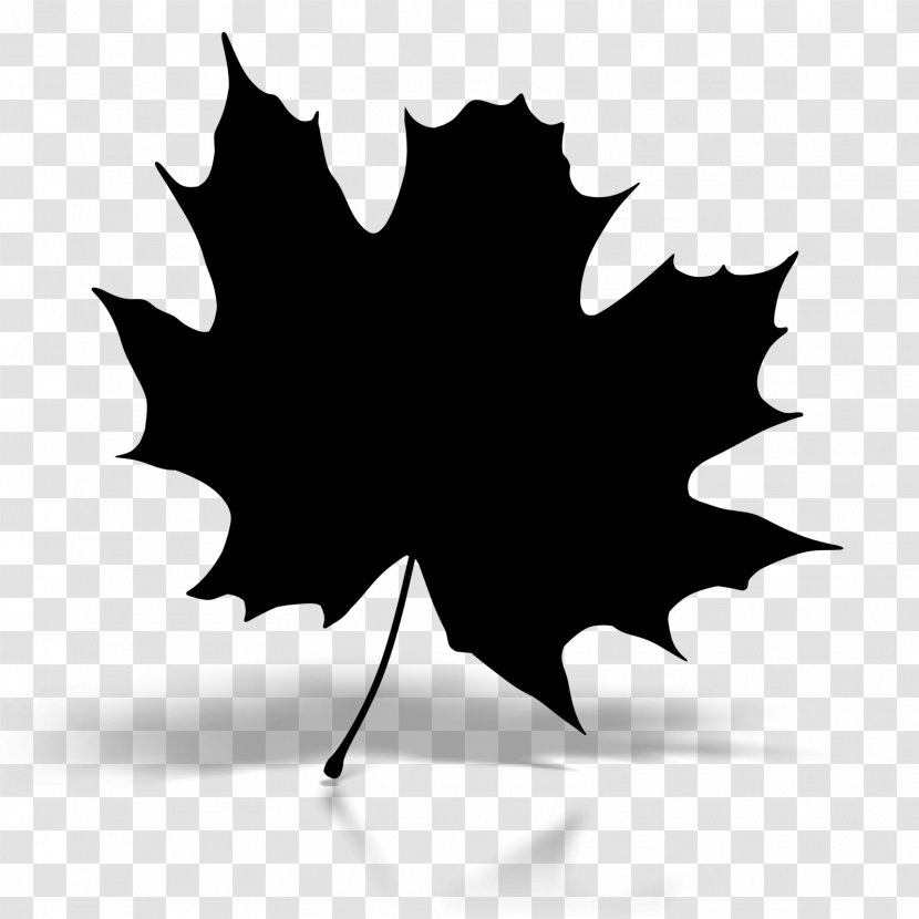 Maple Leaf Baku Silhouette Image Clip Art Transparent PNG
