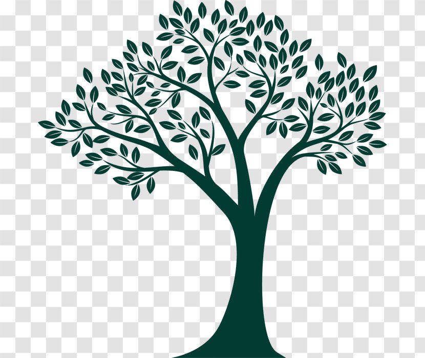Chianti DOCG Bed And Breakfast Genealogy Group The Eatery & Co Restaurant - Sydney - Tree Logo Summer Sale Illustration Transparent PNG