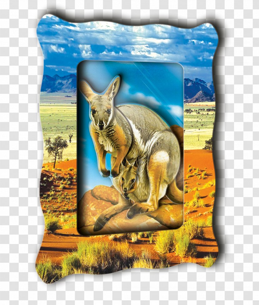 Kangaroo Picture Frames Scrapbooking Origami Annunciation Bridge - Throw Pillows Transparent PNG