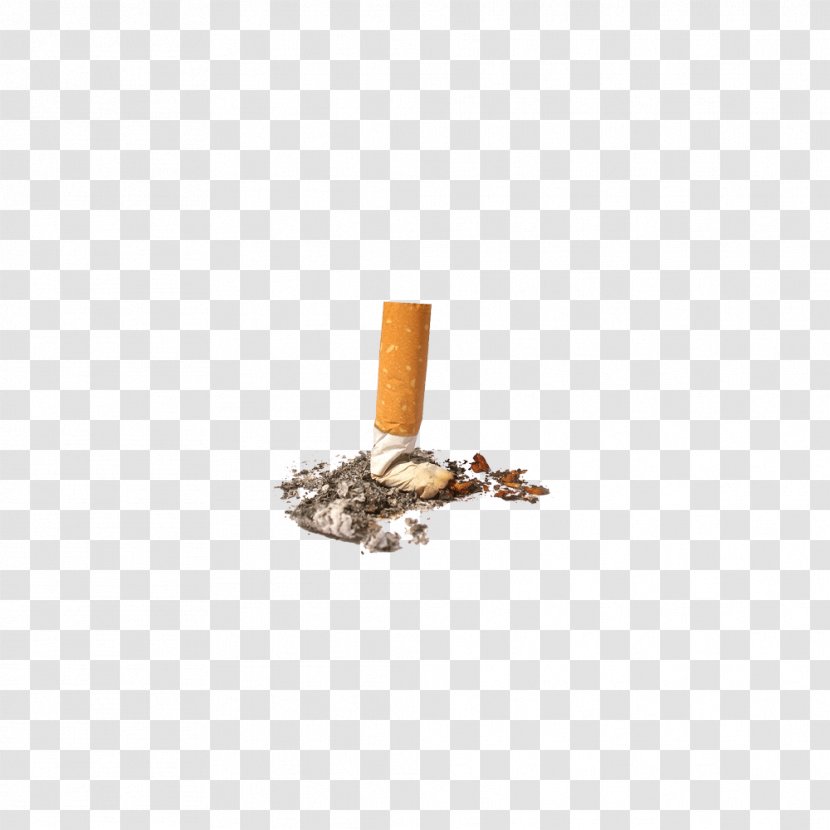 Cigarette - Cartoon - Flower Transparent PNG