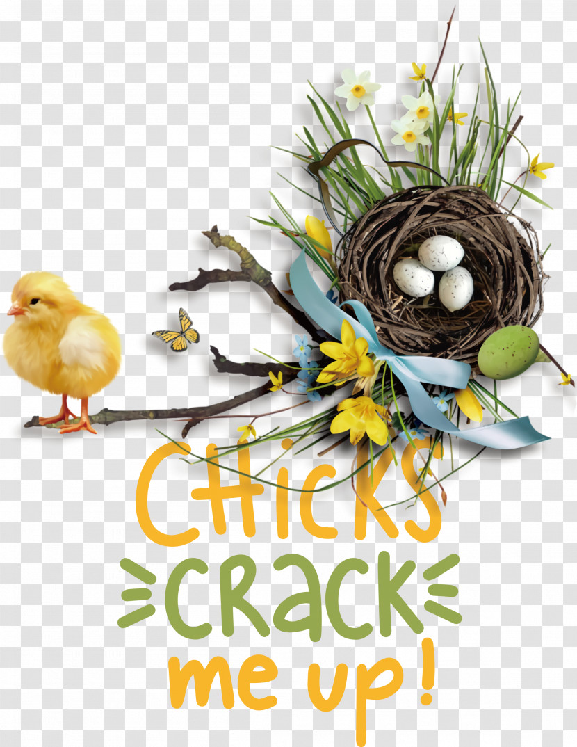 Chicks Crack Me Up Easter Day Happy Easter Transparent PNG