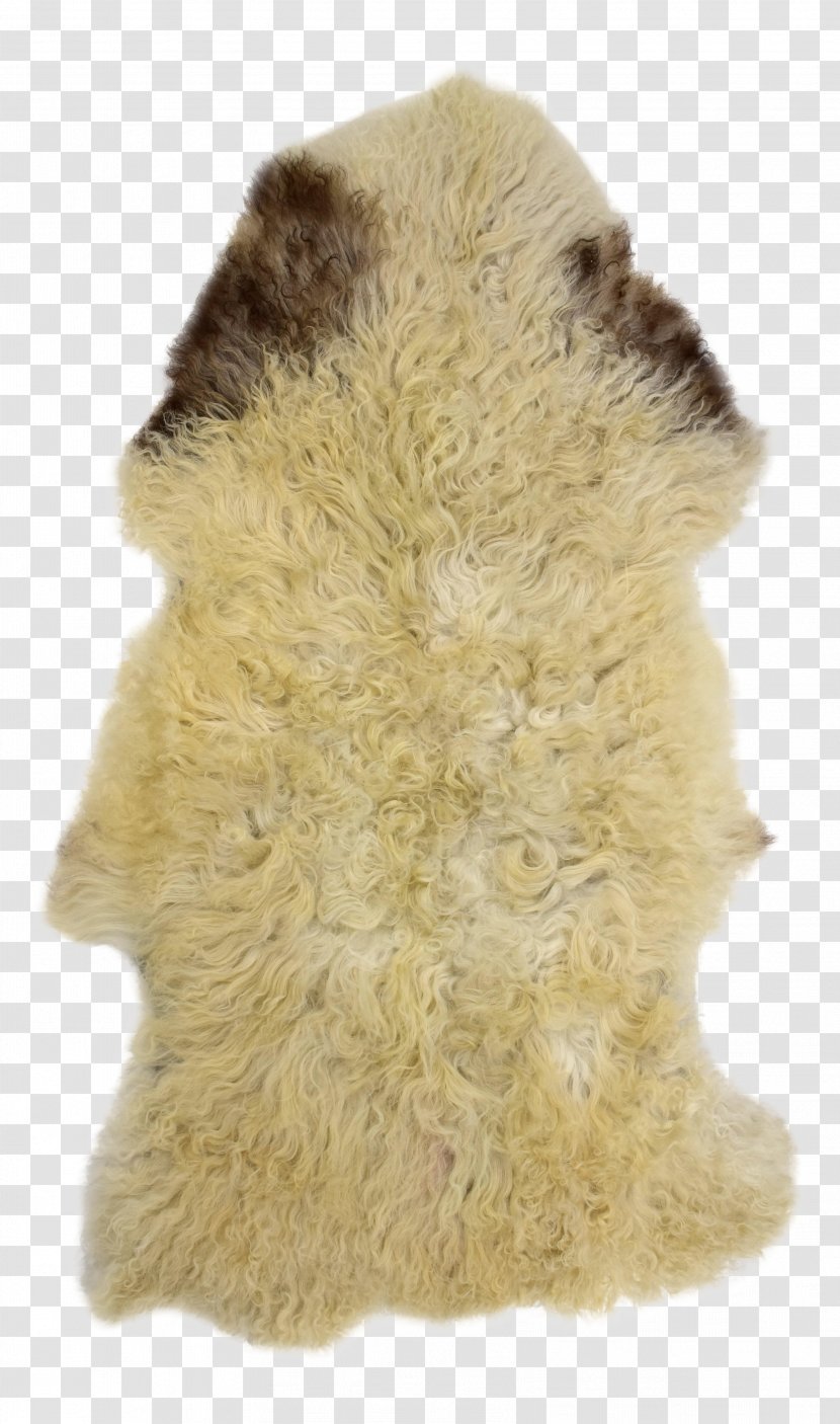 Fur Snout - Wool Transparent PNG