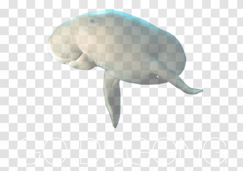 Go Dugong Sea Cows Dreamy Transparent PNG