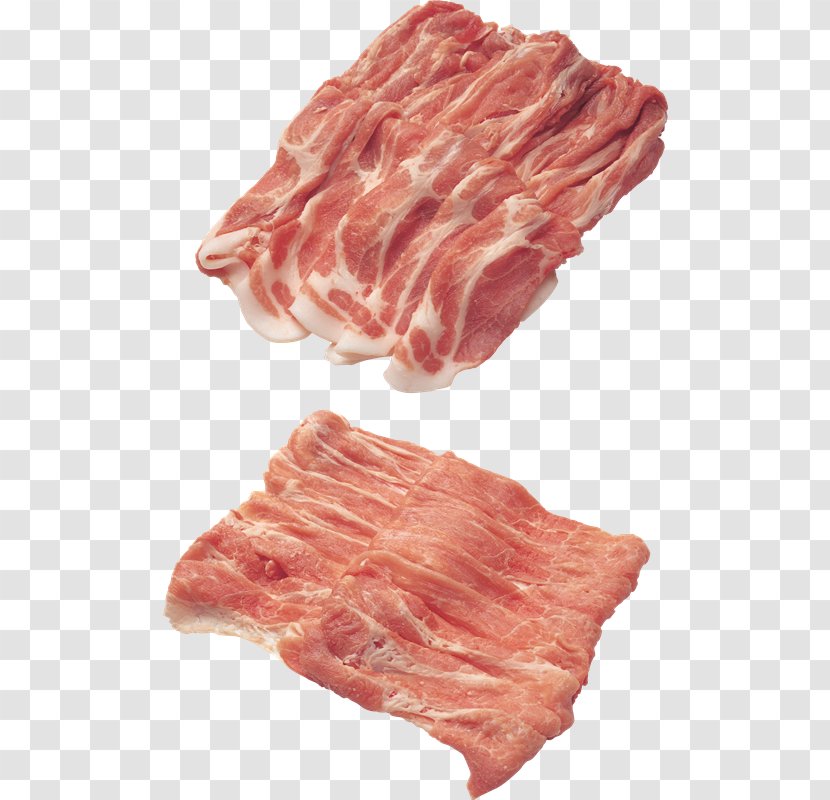 Bacon Spare Ribs Food Meat Pork - Cartoon - TOCINO Transparent PNG