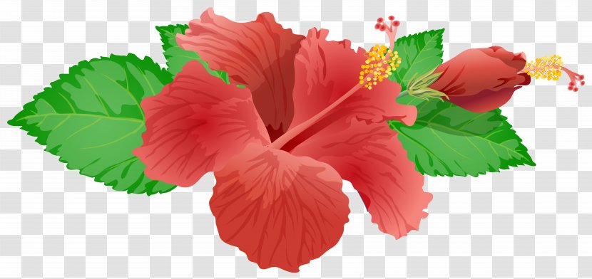 Flower Royalty-free Clip Art - Flowering Plant - Watercolour Transparent PNG
