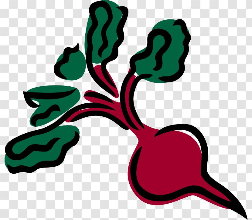 Sugar Beet Beetroot Vegetable Clip Art - Plant - Free Pictures Of Vegetables Transparent PNG