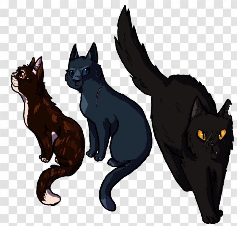 Kitten Black Cat Warriors Whiskers - Small To Medium Sized Cats Transparent PNG