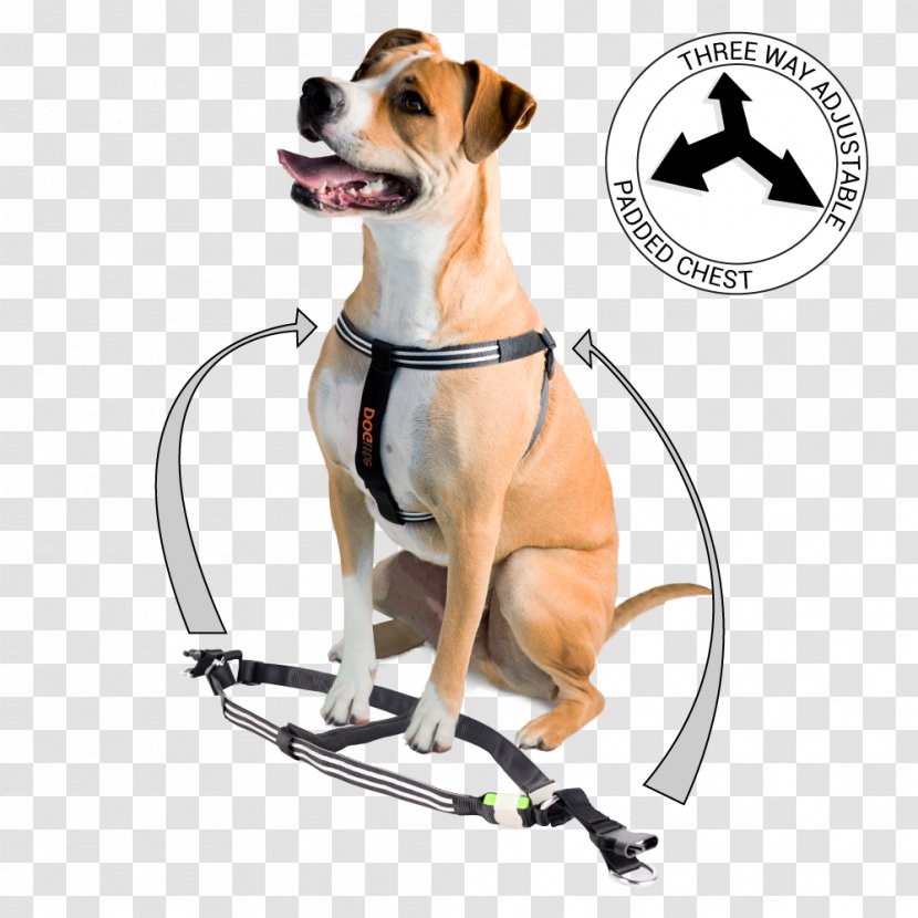 Dog Breed Leash Harness Rhodesian Ridgeback Collar - Padding Transparent PNG
