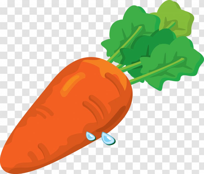 Carrot Clip Art - Food - Image Transparent PNG
