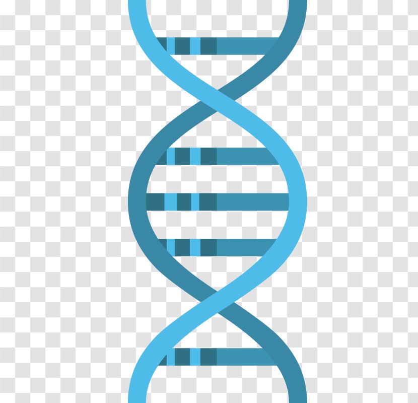 Vector Graphics DNA Illustration Image - Text - Number Transparent PNG