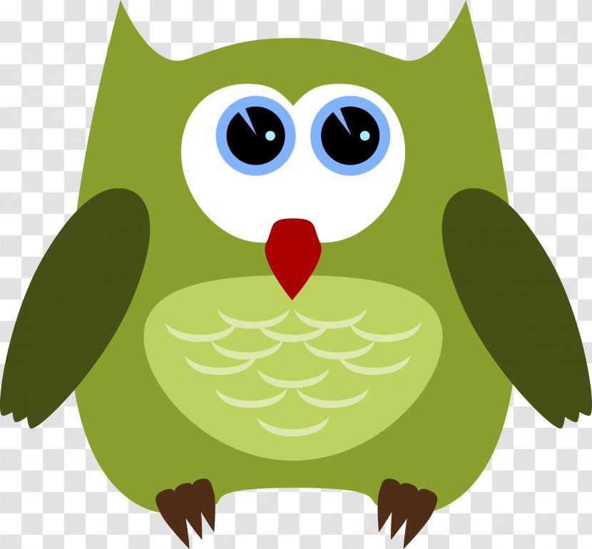 Owl Bird Clip Art Vector Graphics - Feather - Bile Transparent PNG