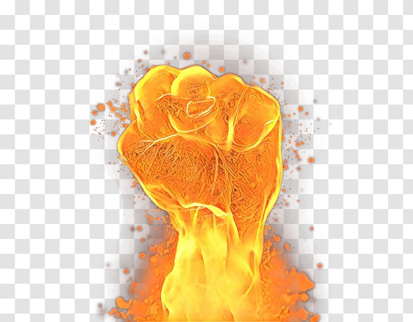 Orange Transparent PNG