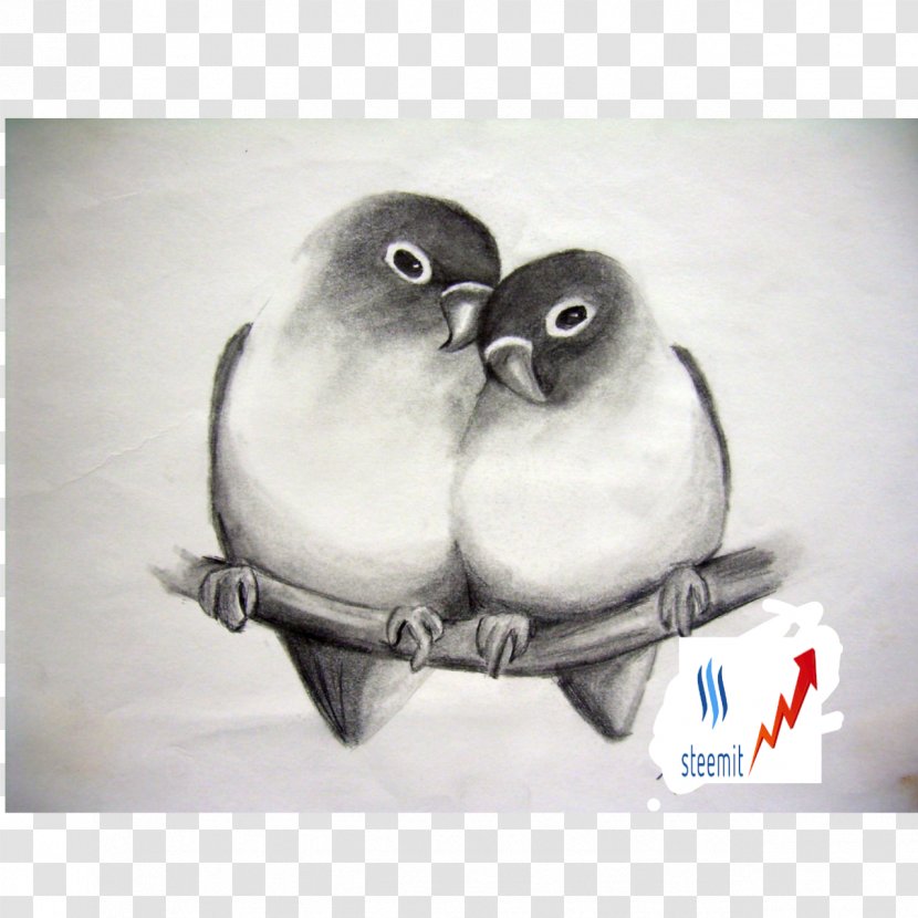 Drawing Pencil Art Love Sketch - Beak - Sketches Transparent PNG