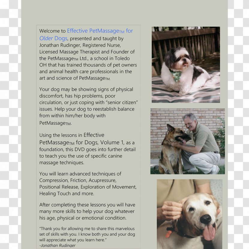 PetMassage Training & Research Institute Dog Breed - The Cover Transparent PNG