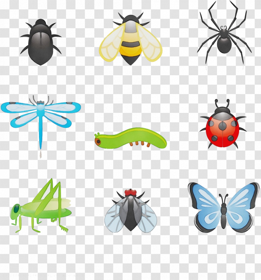 Beetles Fly Collage Insects Cartoon Transparent PNG