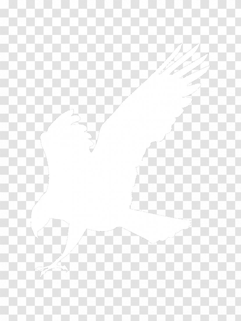 Eagle Logo White Silhouette - Monochrome Transparent PNG
