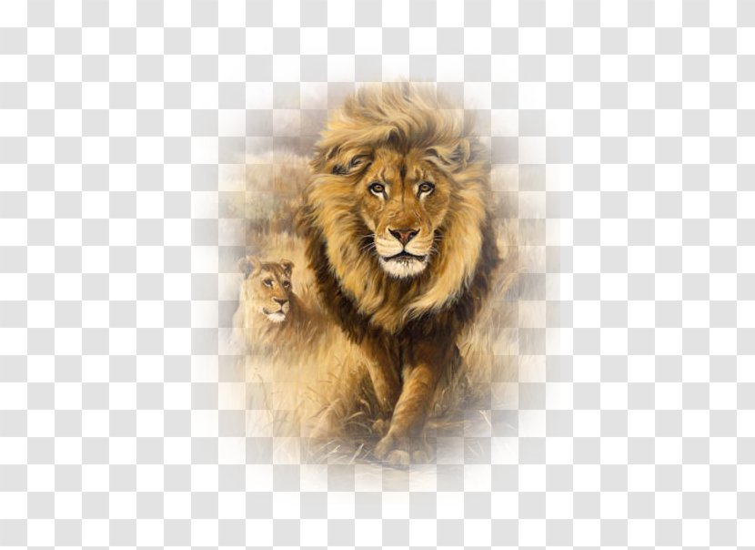 Lion Art Embroidery Painting Drawing - Big Cats Transparent PNG