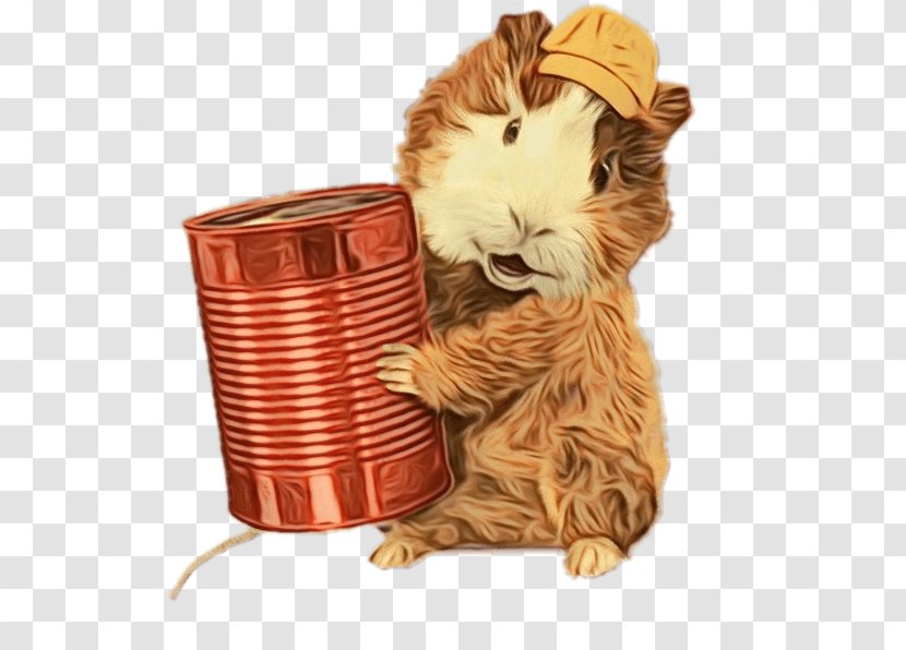 Whiskers Rodent - Hamster - Wicker Transparent PNG