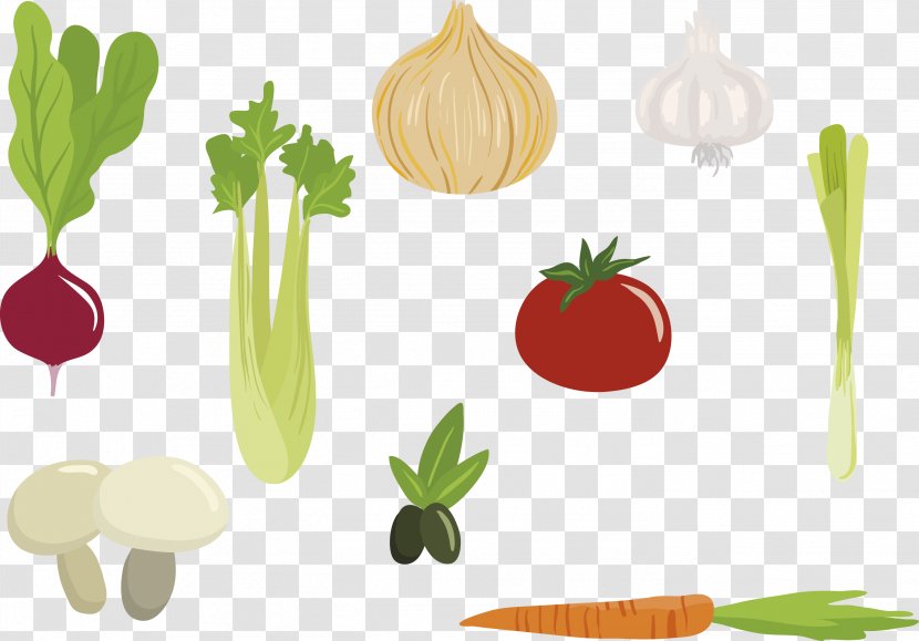 Organic Food Shallot Vegetarian Cuisine Illustration - Vegetable - Vector Vegetables Transparent PNG