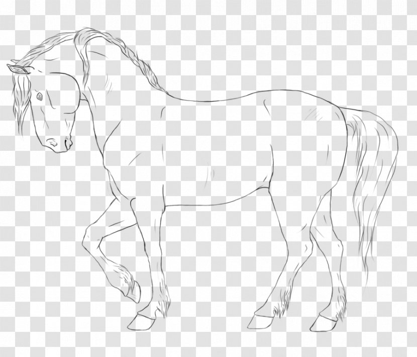 American Quarter Horse Friesian Mustang Racking Appaloosa - Tack - Galloping Transparent PNG