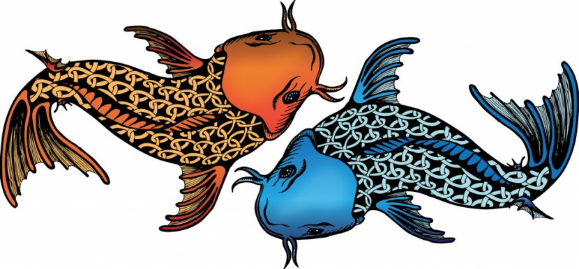 Koi Idaho Falls Cartoonist Illustration - Photography - Fish Illustrations Transparent PNG