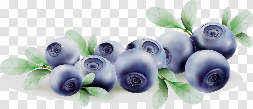 Bilberry Blueberry Product Body Jewellery Cut Flowers - Fruit Transparent PNG