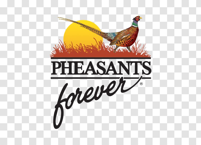 Pheasants Forever Canada Inc Logo Organization - Beak - Bird Transparent PNG