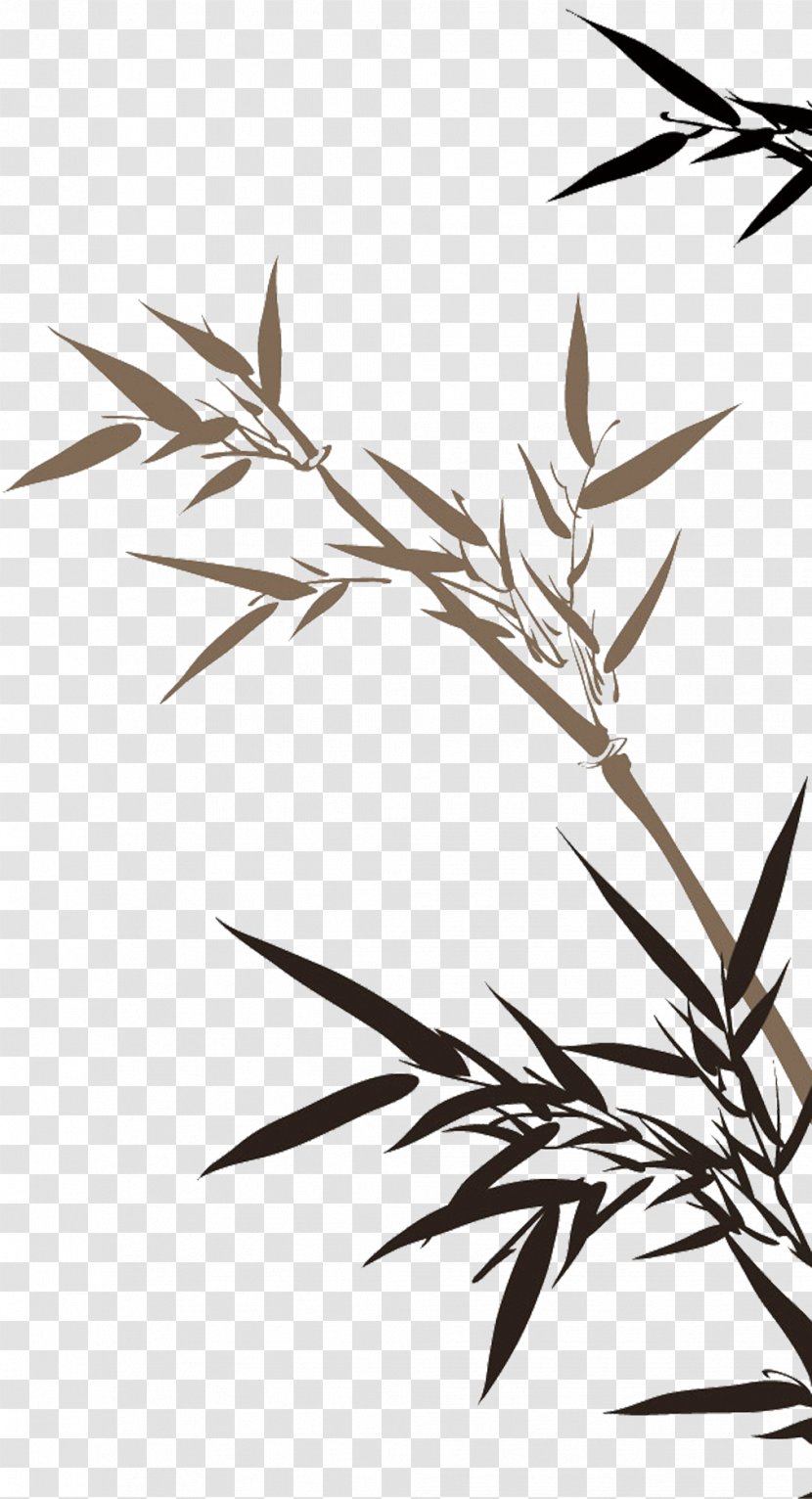 Bamboo Painting Drawing - Grass Family - Ink Transparent PNG