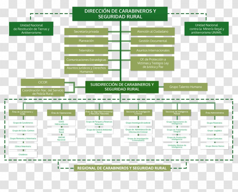 Diagram Line - Design Transparent PNG