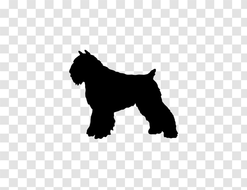 Miniature Schnauzer Affenpinscher Bouvier Des Flandres Puppy Dog Breed Transparent PNG