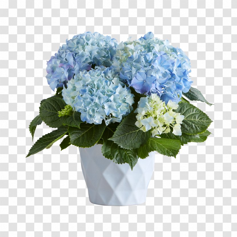 Hydrangea Floral Design Cut Flowers Flower Bouquet - Plant Transparent PNG