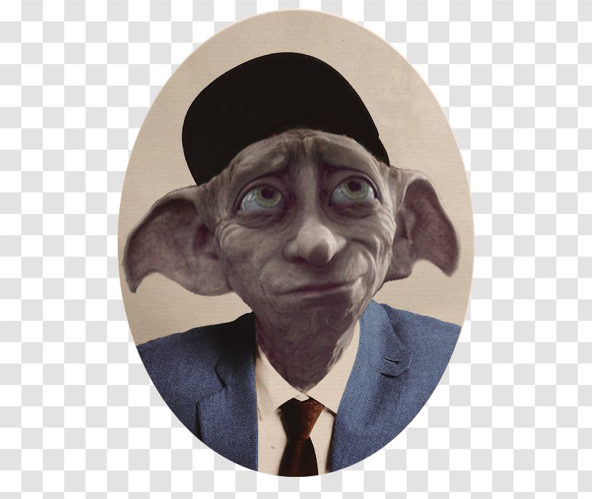 Dobby The House Elf House-elf Snout - Houseelf Transparent PNG
