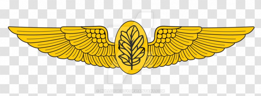 Naval Aviation United States Of America Navy Aircraft Pilot - Membrane Winged Insect - Flight Nurse Salary Transparent PNG