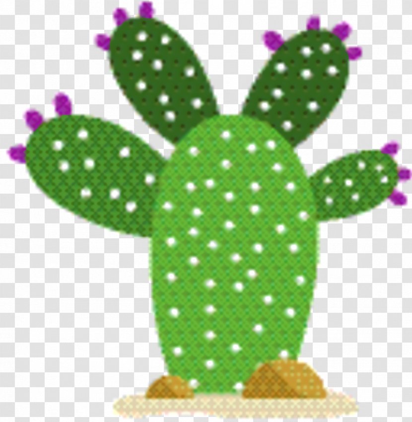 Cactus Cartoon - Flower - Plant Green Transparent PNG