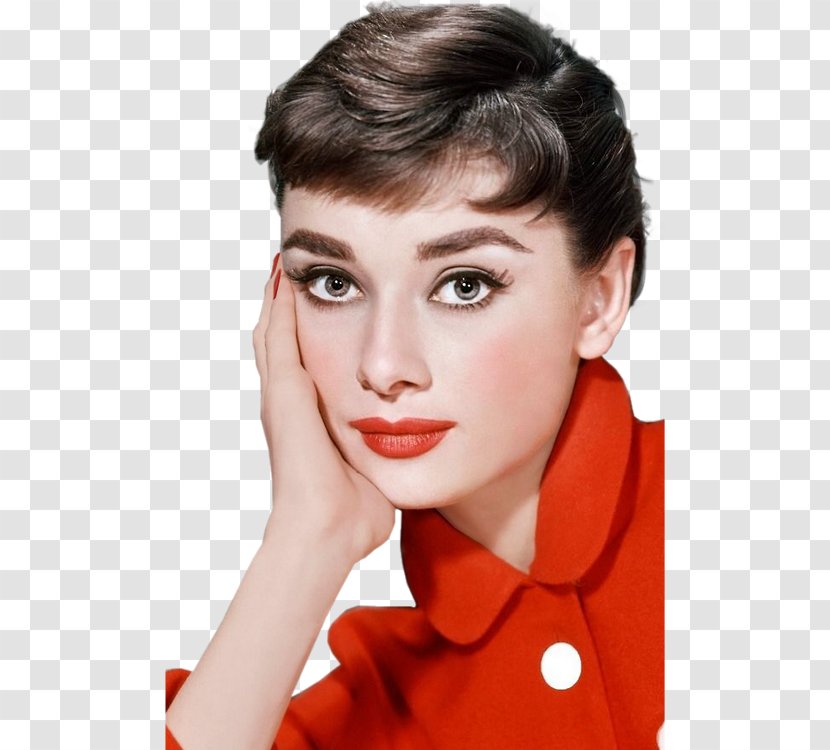 Audrey Hepburn Actor Eye Liner Cosmetics Color - Face Transparent PNG