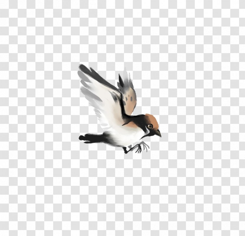 Bird-and-flower Painting Chinese Ink Wash - Duck - Small Hand-drawn Cartoon Sparrow Flying Free Matting Transparent PNG