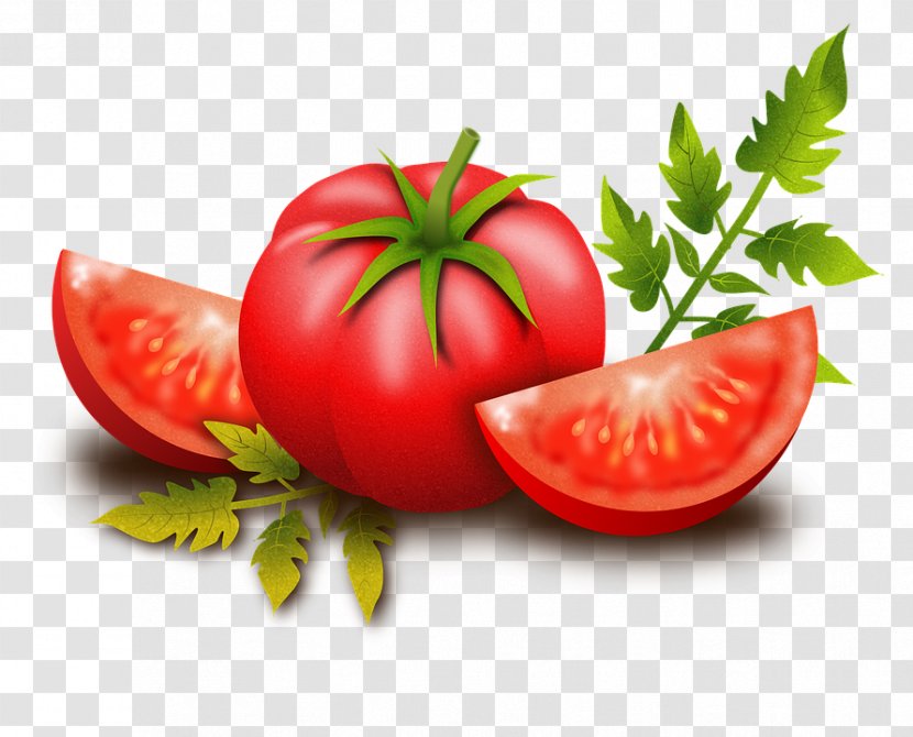 Tomato Pizza Vegetable Clip Art Transparent PNG