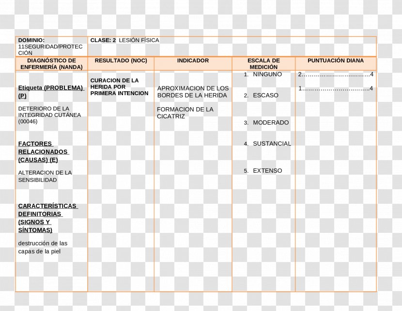 Document Surgery Wound Dehiscence - Brand Transparent PNG