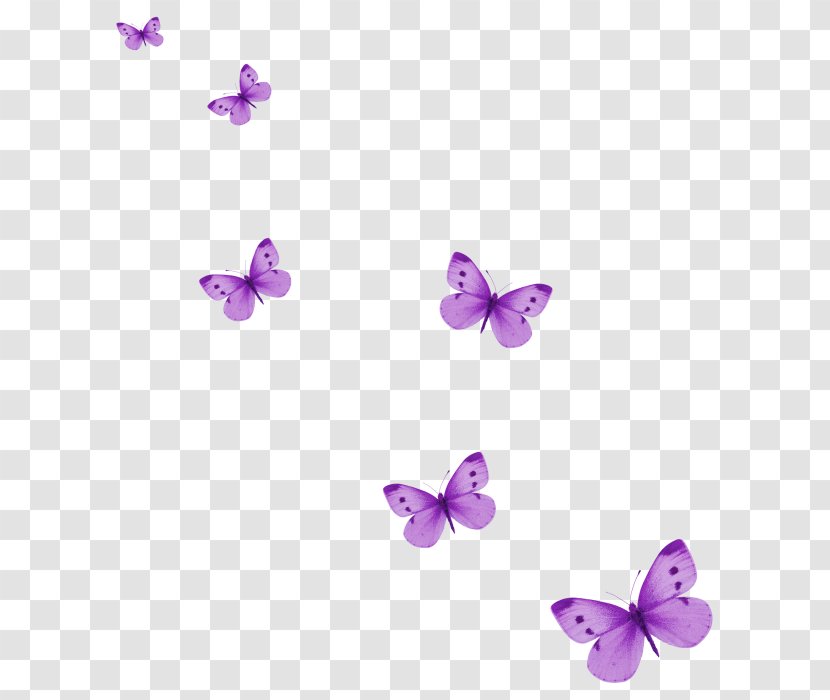 Butterfly Icon - Adobe Flash - Purple Transparent PNG