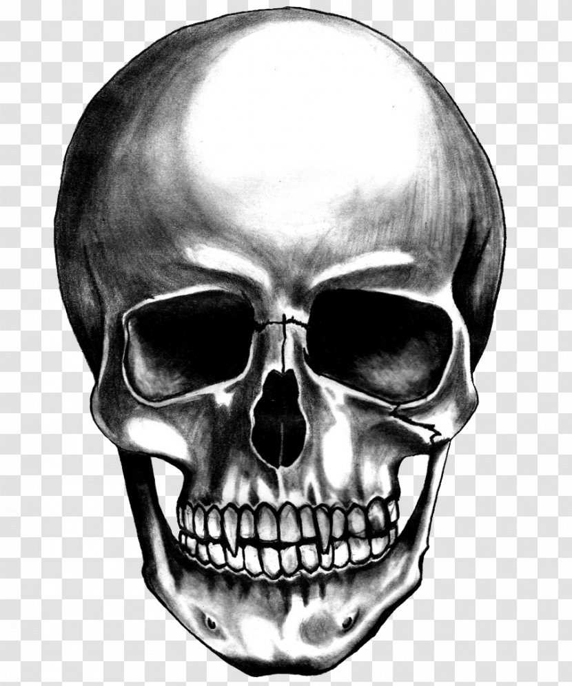 Skull Desktop Wallpaper - Drawing Transparent PNG