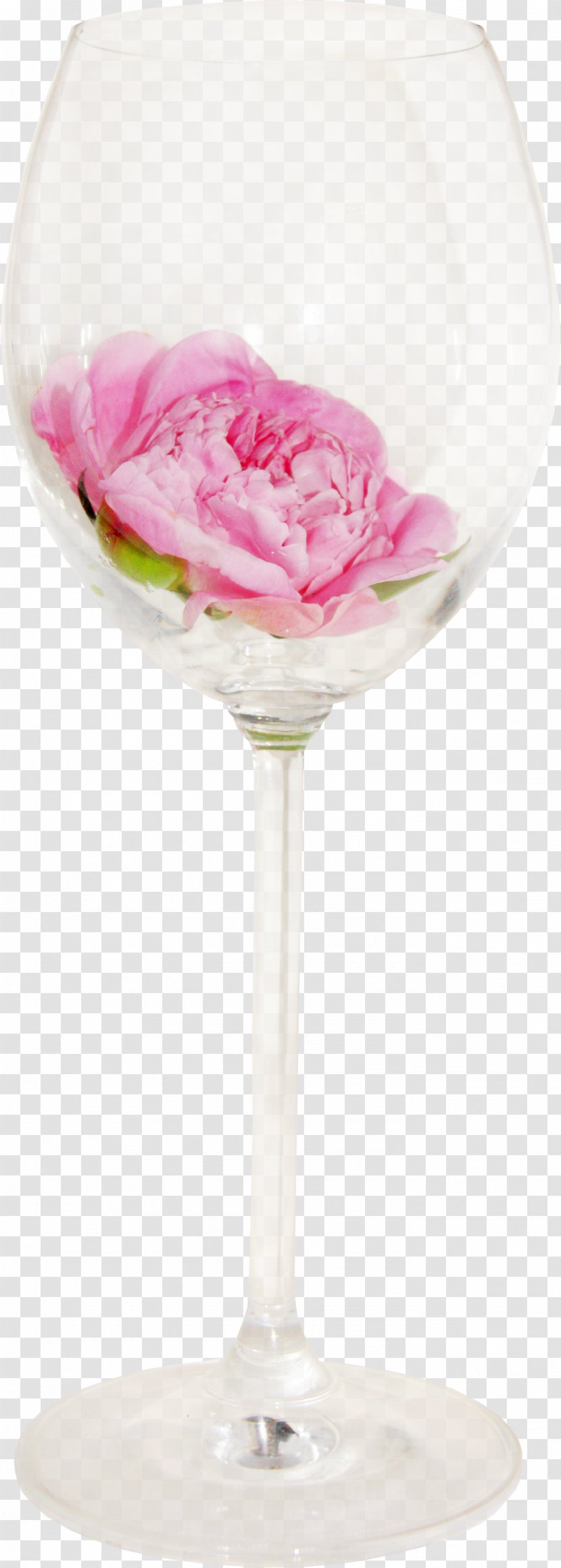Wine Glass Cup - Flower - Flowers Transparent PNG